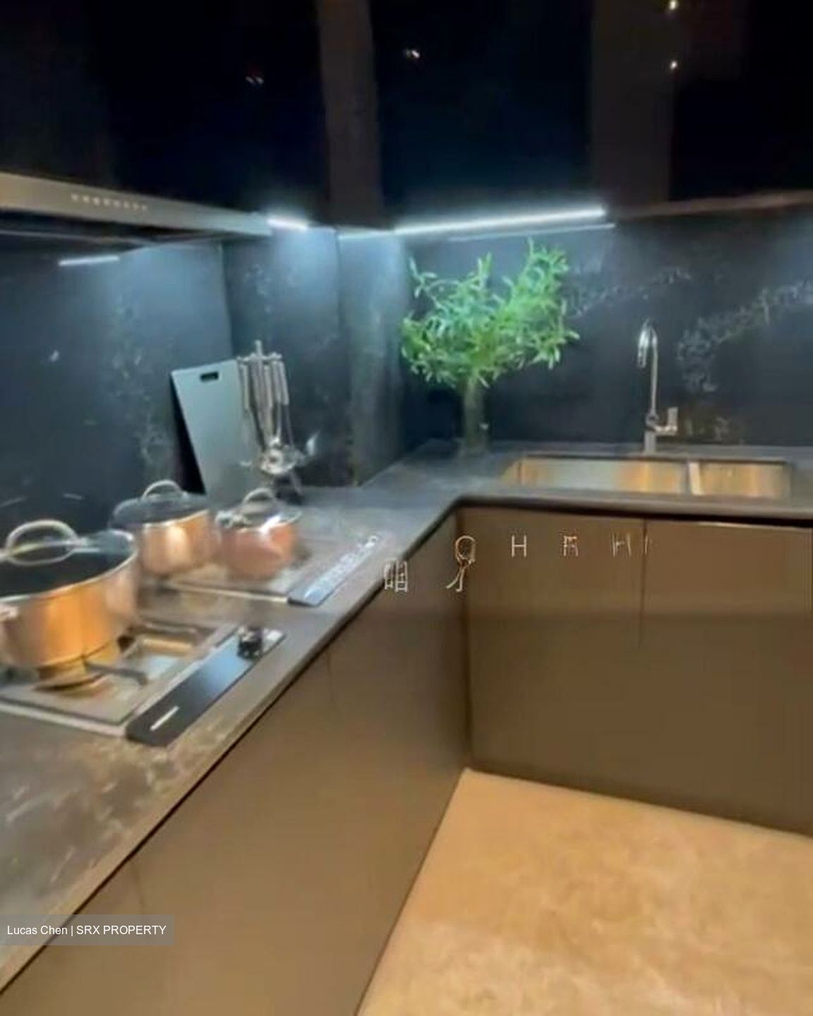 Jervois Privé (D10), Apartment #501881341
